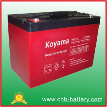 Bateria profunda do ciclo AGM de 12V 85ah para o rv (veículo recreacional)